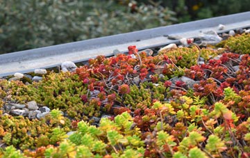 the cost of Rowhook green roof installation