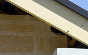 soffit repair Rowhook