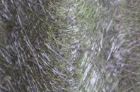 Rowhook fibreglass roof work